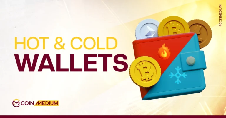 hot wallet, cold wallet crypto