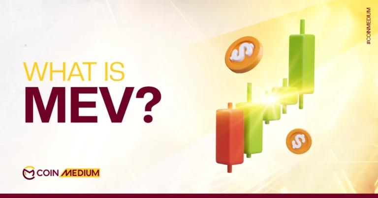 what is mev (maximal extradable value)